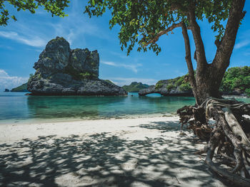 Look through tree root foreground to stunning rock formation island view. mu koh ang thong, thailand