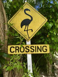 Information sign on road by trees