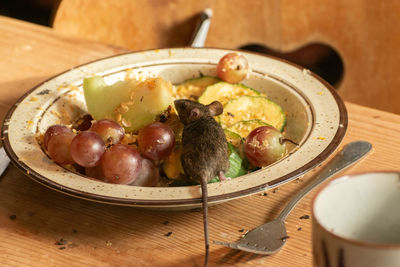 Zurich, switzerland, september 3, 2023 mouse is eating fresh fruits from a plate in a wildlife park