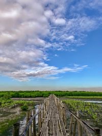 Scenic view of agricultural field against sky