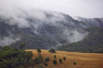 Scenic view of landscape against cloudy sky