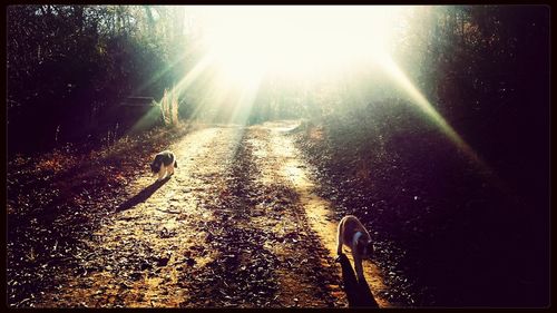 Sun shining through clouds
