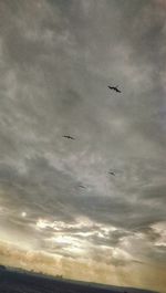 Low angle view of airplane flying in sky