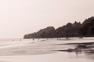 Scenic view of beach against clear sky