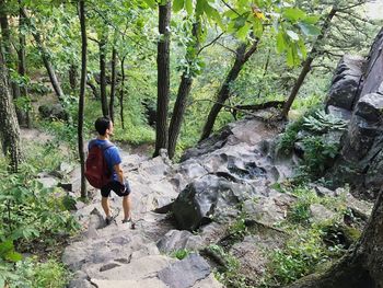 Man walking by waterfall in forest