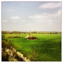 Scenic view of grassy field against sky