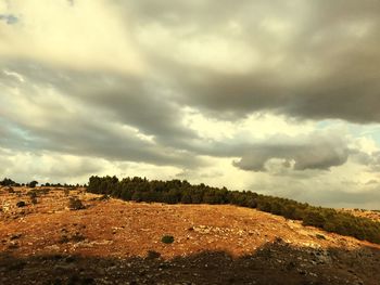 Scenic view of field against sky