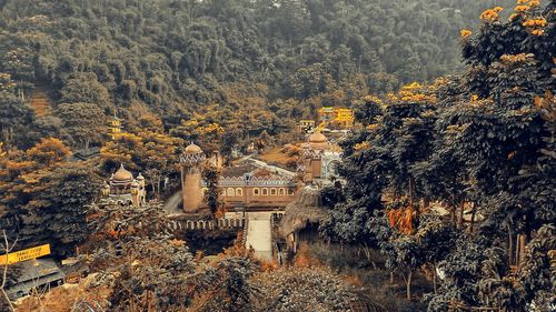 High angle view of trees in town