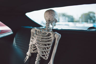 Close-up of clothes hanging in car