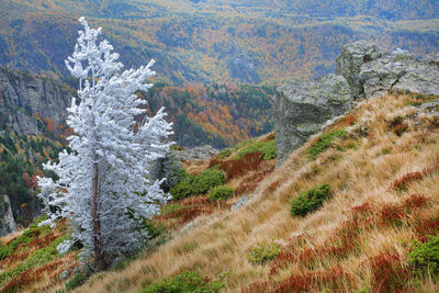 Scenic view of mountains