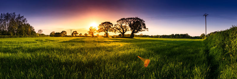 Scenic view of field against sky during sunset