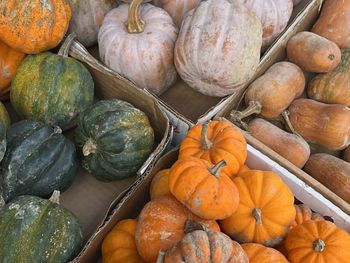 Full frame shot of pumpkin