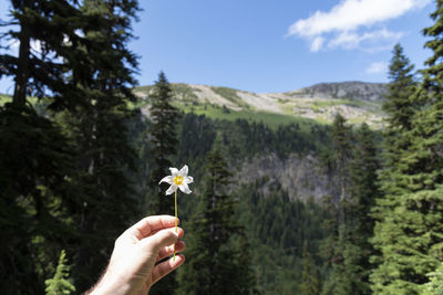 Cropped image of hand holding flower against mountains