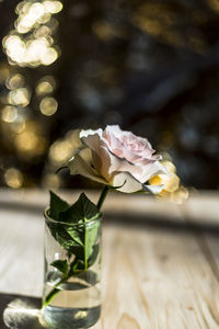 Close-up of white roses in glass vase on table