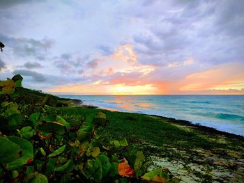 Scenic view of sea against sky during sunset