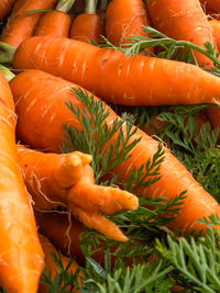 Close-up of orange