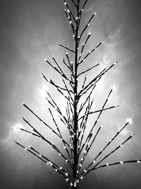 Low angle view of tree against sky