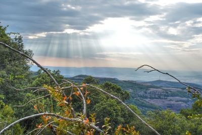 Scenic view of landscape by sea against sky