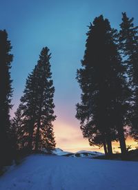 Silhouette trees against sky at night