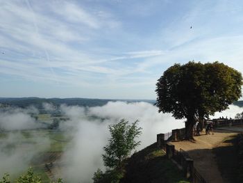 Scenic view of trees against sky