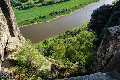 High angle view of rocks amidst trees