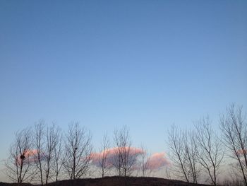 Low angle view of bare trees against clear blue sky