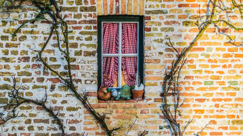 View of closed window on brick wall
