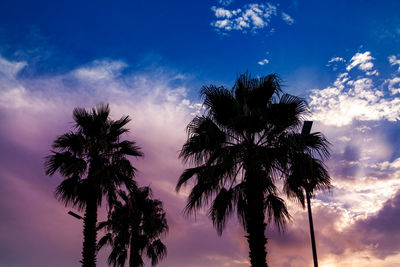 Silhouette palm trees against sky during sunset