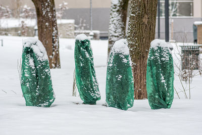 Plants, bushes and trees in a park or garden covered with green blanket antifreeze, swath of burlap