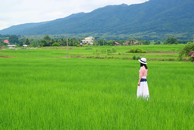 Woman in white hat taking a walk in the vivid green paddy fields