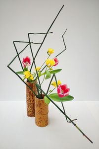 Close-up of plant in vase on table