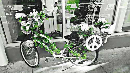 Parked bicycles parked at roadside