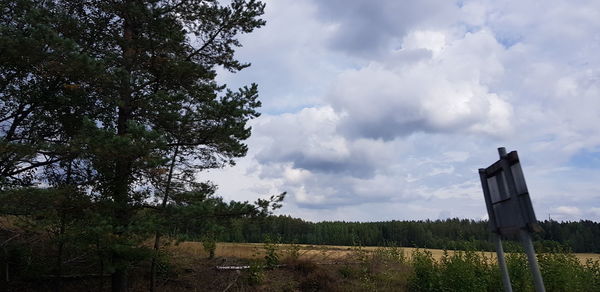 Low angle view of trees on field against sky