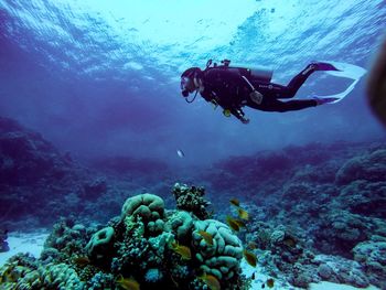 Scuba diver swimming in sea