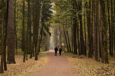 People on footpath amidst trees in forest