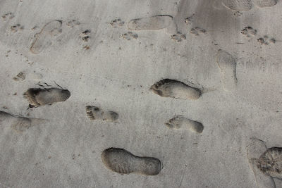 High angle view of footprints on sand