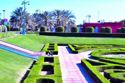View of park in lawn
