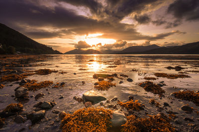 Scenic view of sea against sky during sunset