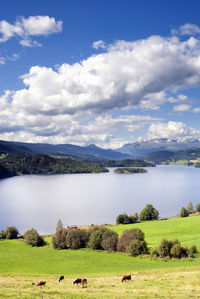 Scenic view of lake against sky