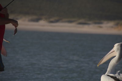 Close-up of man in sea against sky