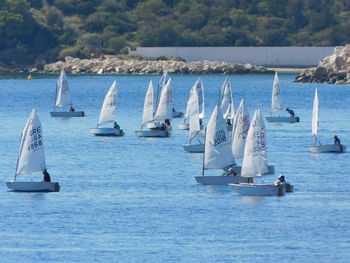 Sailboats in sea