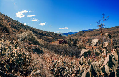 Panoramic view of landscape against blue sky