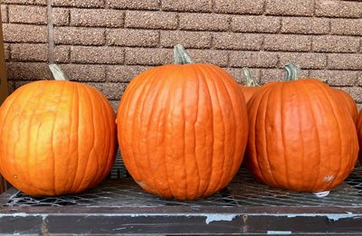 Close-up of pumpkins against orange wall