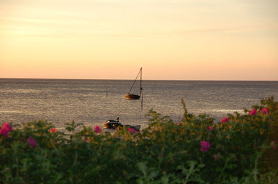 Scenic view of sea against clear sky