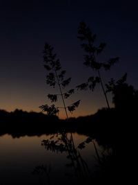 Silhouette tree by lake against sky at sunset