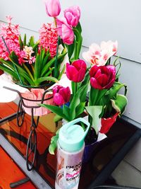 Close-up of pink tulips in vase on table