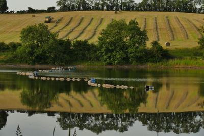 Scenic view of lake by trees