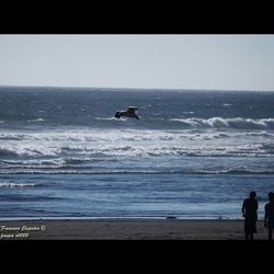 sea