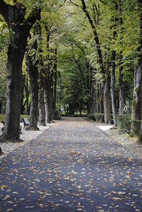View of trees