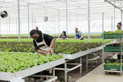 Side view of farmer working in greenhouse